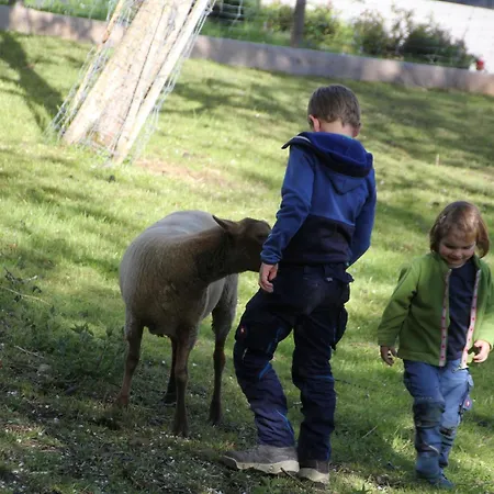 Lejlighed Zwerger